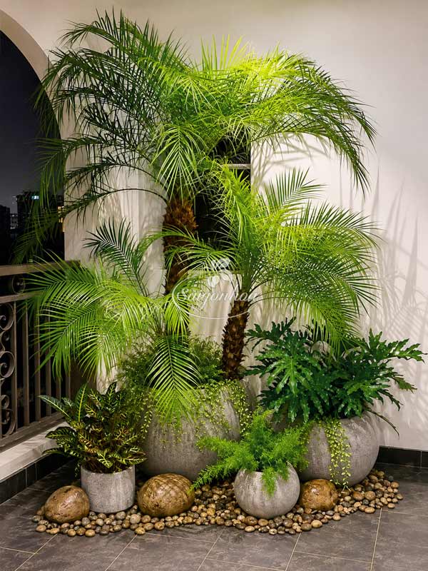 cum-cay-cau-ngami-decor-bo-cay