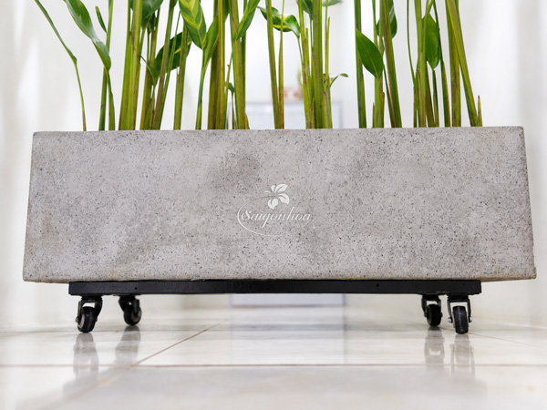 dac-diem-chan-de-sat-banh-xe-2