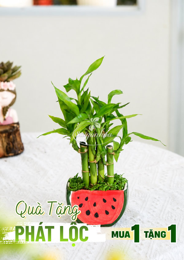 qua-tang-phat-loc