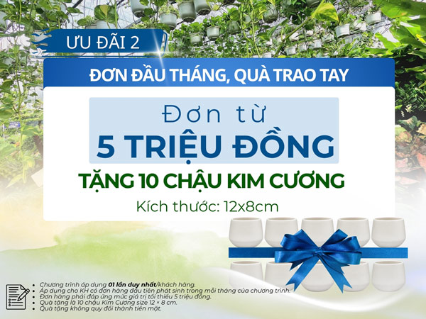BỨT TỐC QUÝ CUỐI NĂM–NHẬP CÀNG NHIỀU ƯU ĐÃI CÀNG CAO