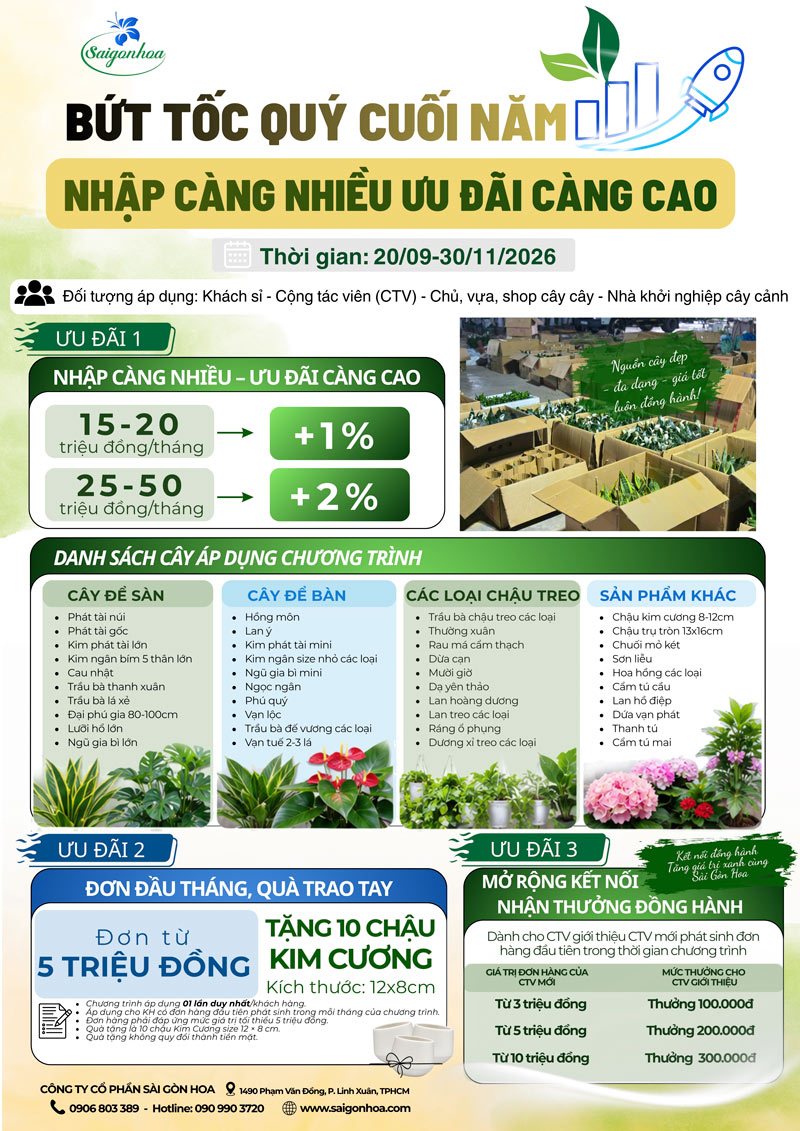 BỨT TỐC QUÝ CUỐI NĂM–NHẬP CÀNG NHIỀU ƯU ĐÃI CÀNG CAO