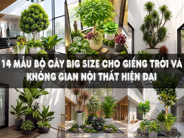 Bộ Cây Big Size Cho Giếng Trời