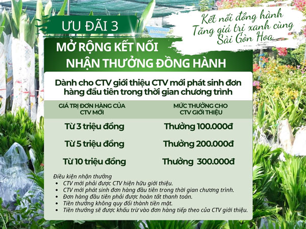 BỨT TỐC QUÝ CUỐI NĂM–NHẬP CÀNG NHIỀU ƯU ĐÃI CÀNG CAO