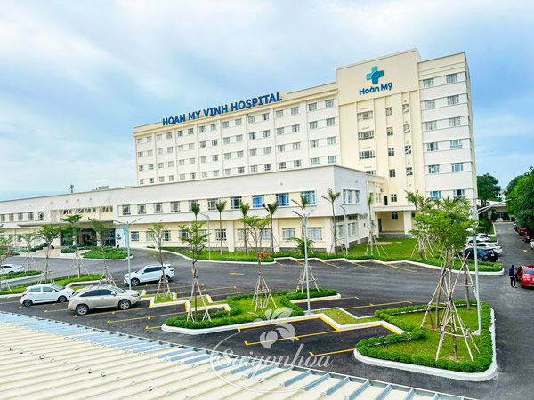 Giải pháp cây xanh cho bãi đỗ xe và khu thương mại