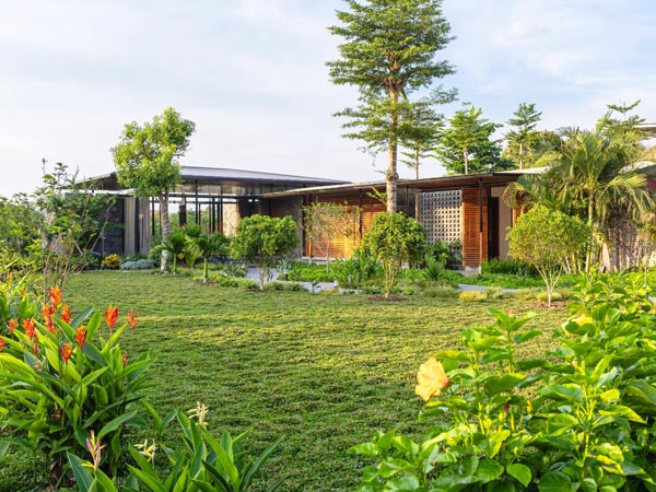 cây chịu nắng