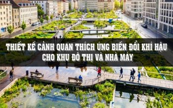 cảnh quan thích ứng biến đổi khí hậu