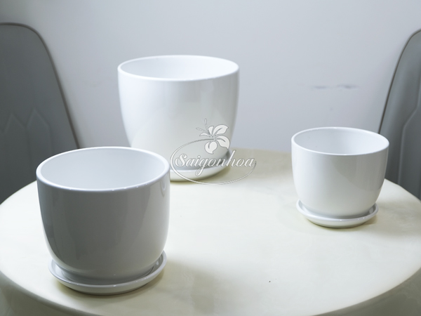 bo-chau-su-trang-dia-lot-1