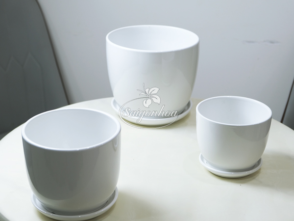 bo-chau-su-trang-dia-lot-2