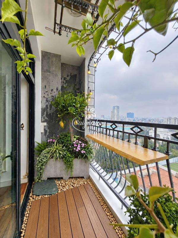 Vườn Trong Bồn