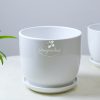 chau-su-trang-dia-lot-long-2-2