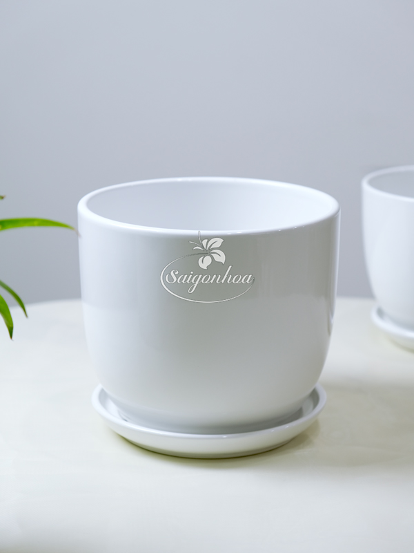 chau-su-trang-dia-lot-long-2-2