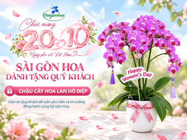 qua-tang-khach-hang-chien-luoc