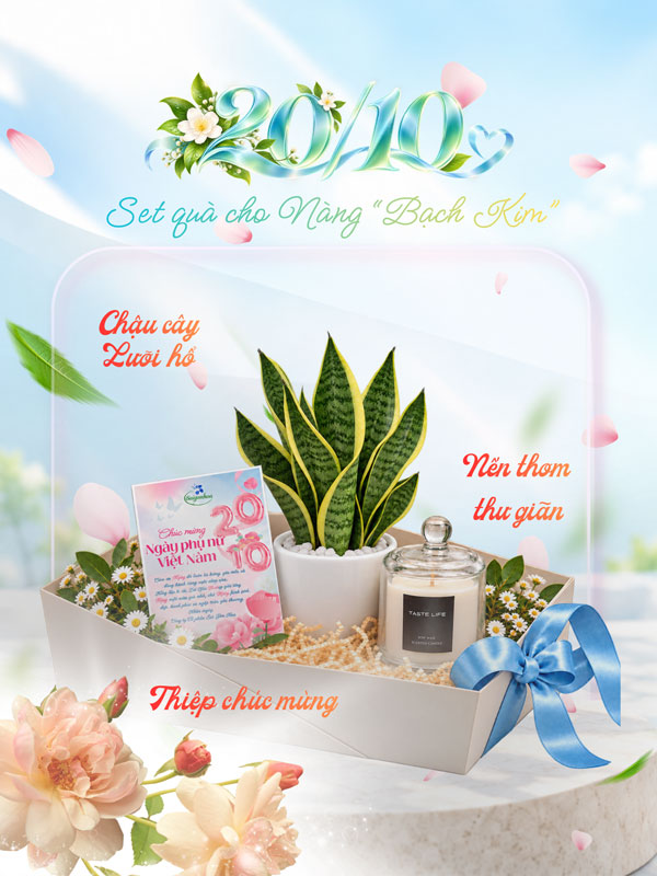 set-luoi-ho-qua-tang