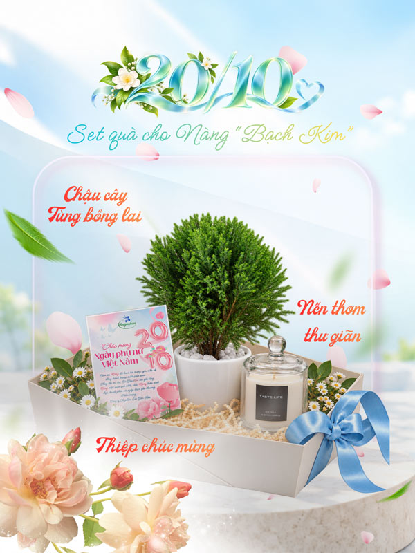 set-tung-bong-lai-qua-tang