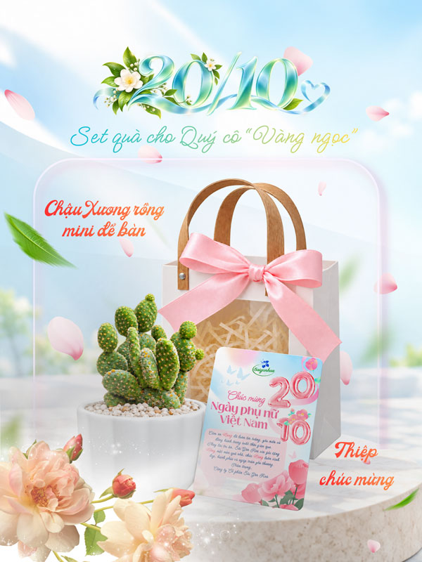 set-xuong-rong